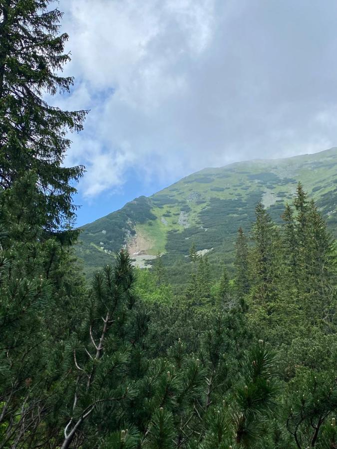 Villa Luxusná Drevenica Zuberec s Wellness, Západné Tatry, Orava Esterno foto