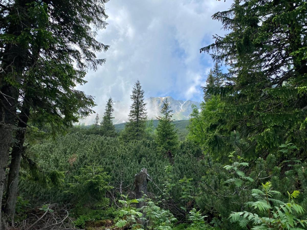Villa Luxusná Drevenica Zuberec s Wellness, Západné Tatry, Orava Esterno foto