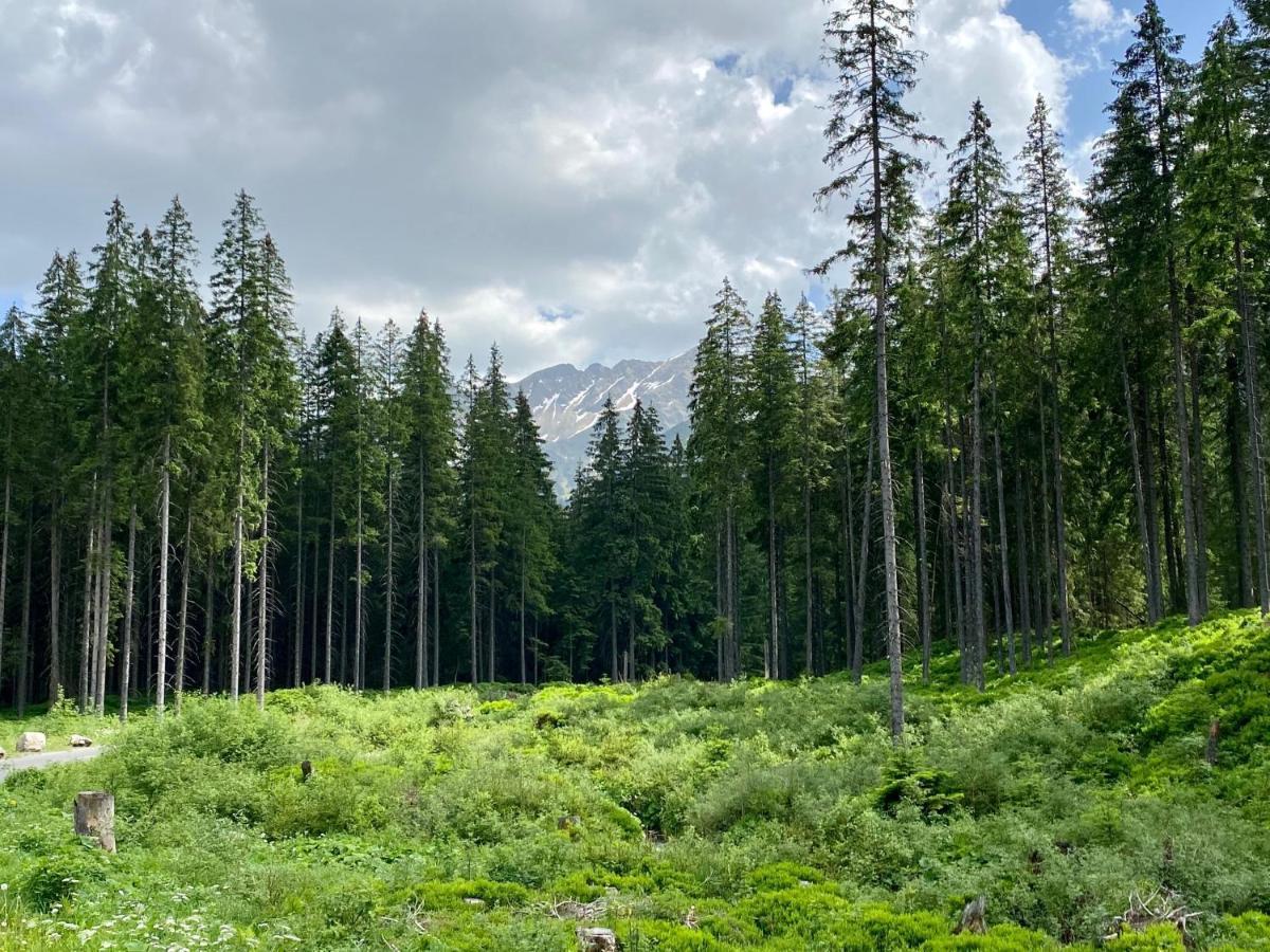 Villa Luxusná Drevenica Zuberec s Wellness, Západné Tatry, Orava Esterno foto
