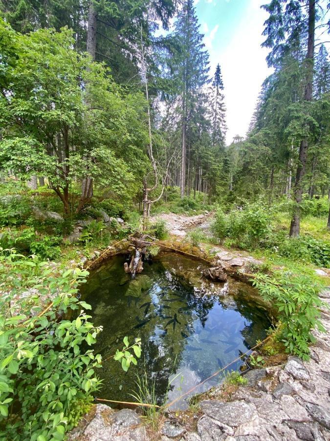 Villa Luxusná Drevenica Zuberec s Wellness, Západné Tatry, Orava Esterno foto